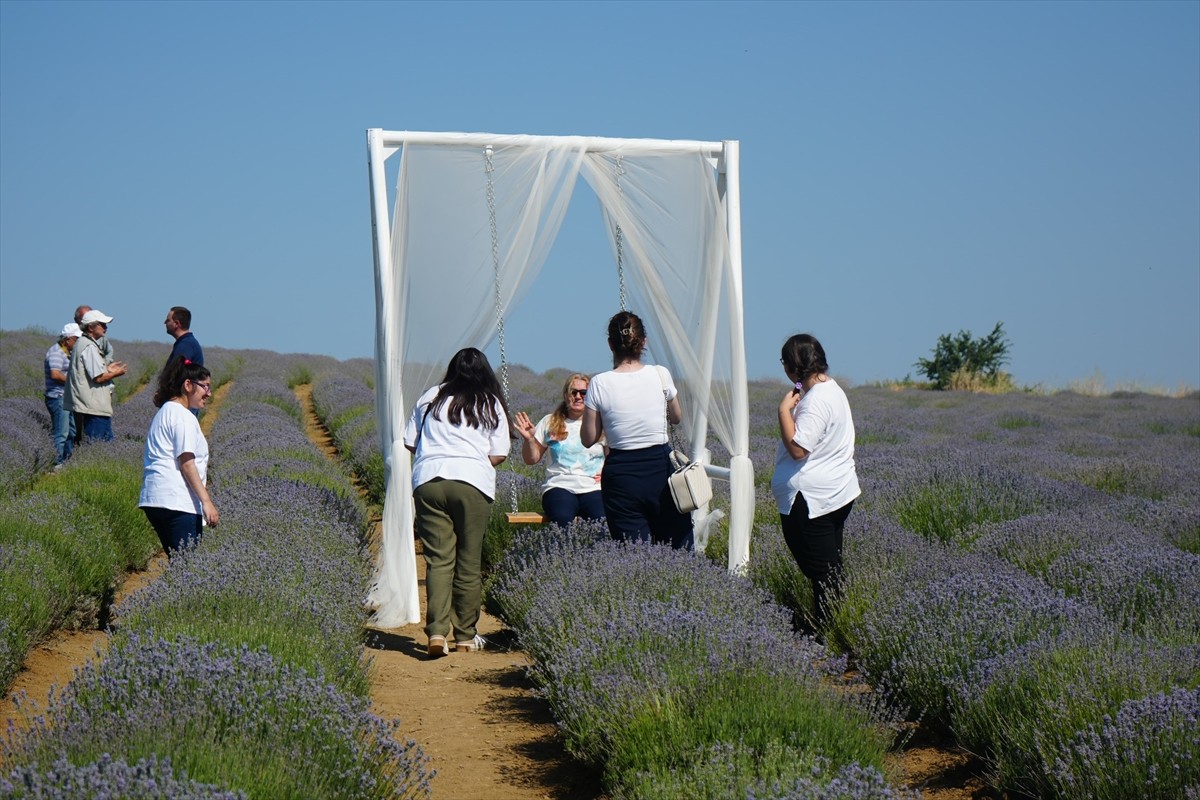 Tekirdağ'da huzurevi sakinleri lavanta tarlasında vakit geçirdi.