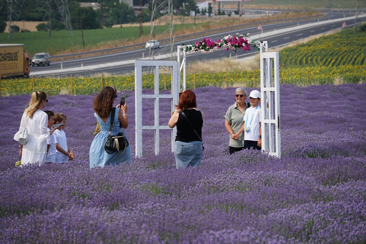 Tekirdağ'da öğrenciler lavanta tarlasında karnelerini aldı. Karneleri alan öğrenciler daha sonra...