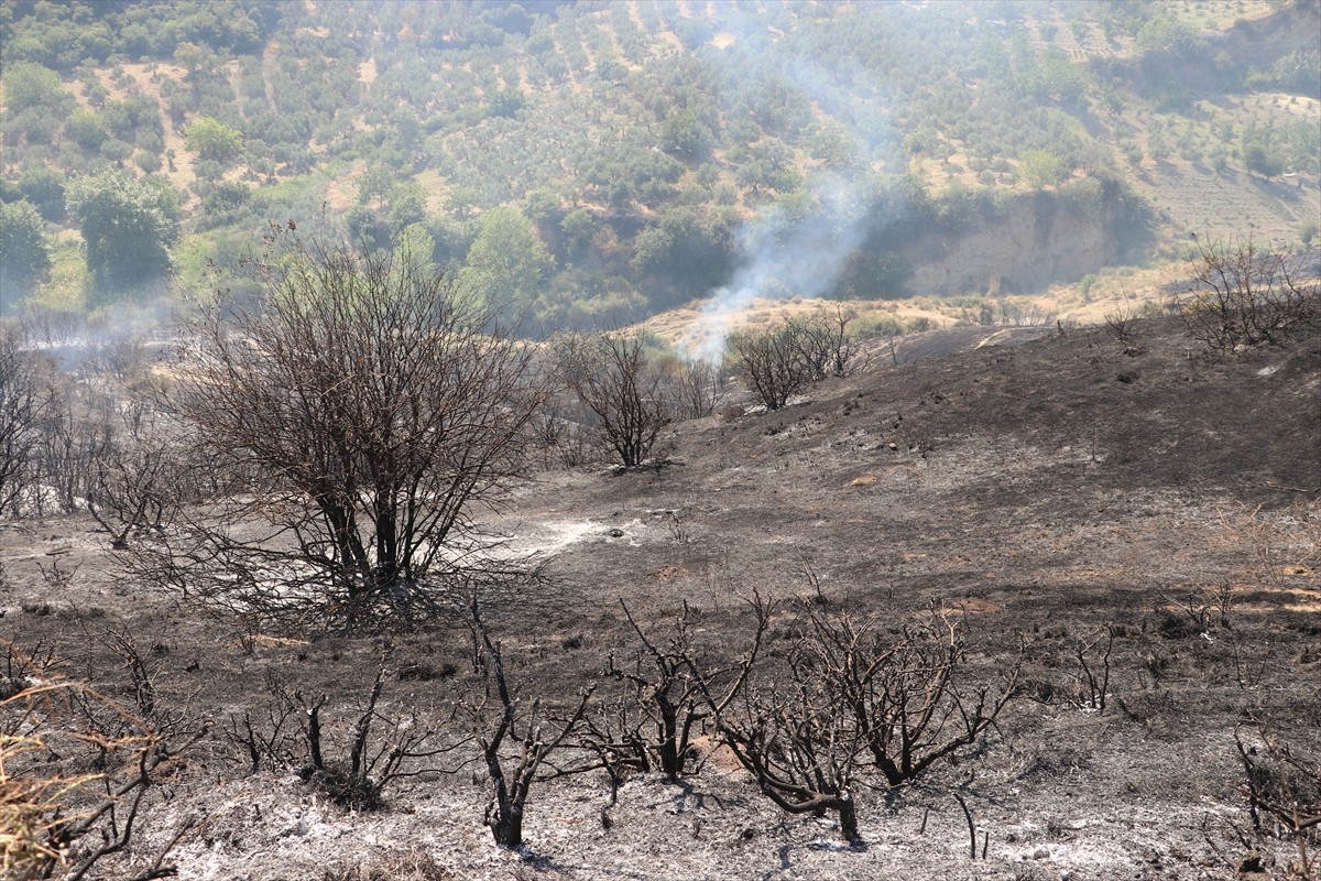 Tekirdağ'ın Şarköy ilçesinde otluk alanda başlayıp makiliğe sıçrayan yangın...