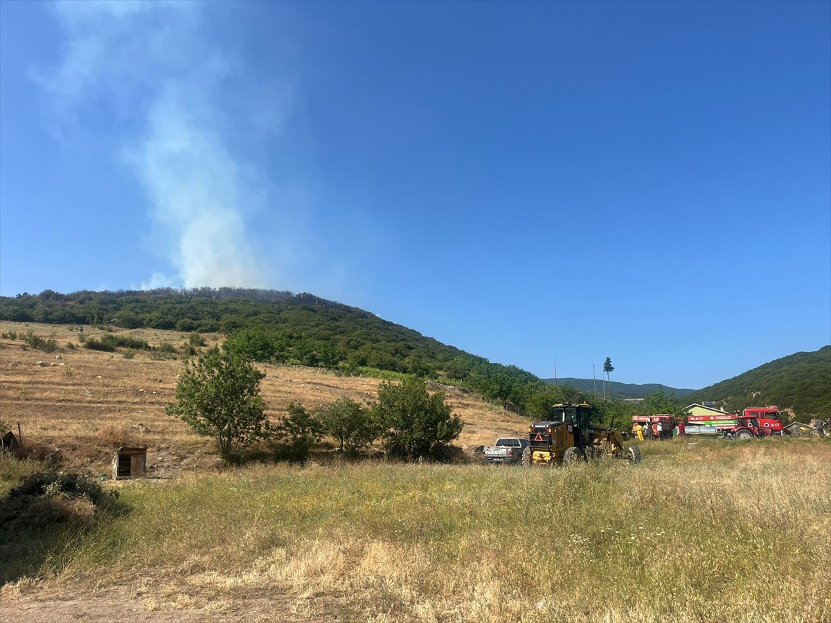 Tokat'ın Niksar ilçesinde ormanlık alanda çıkan yangın söndürülmeye çalışılıyor.