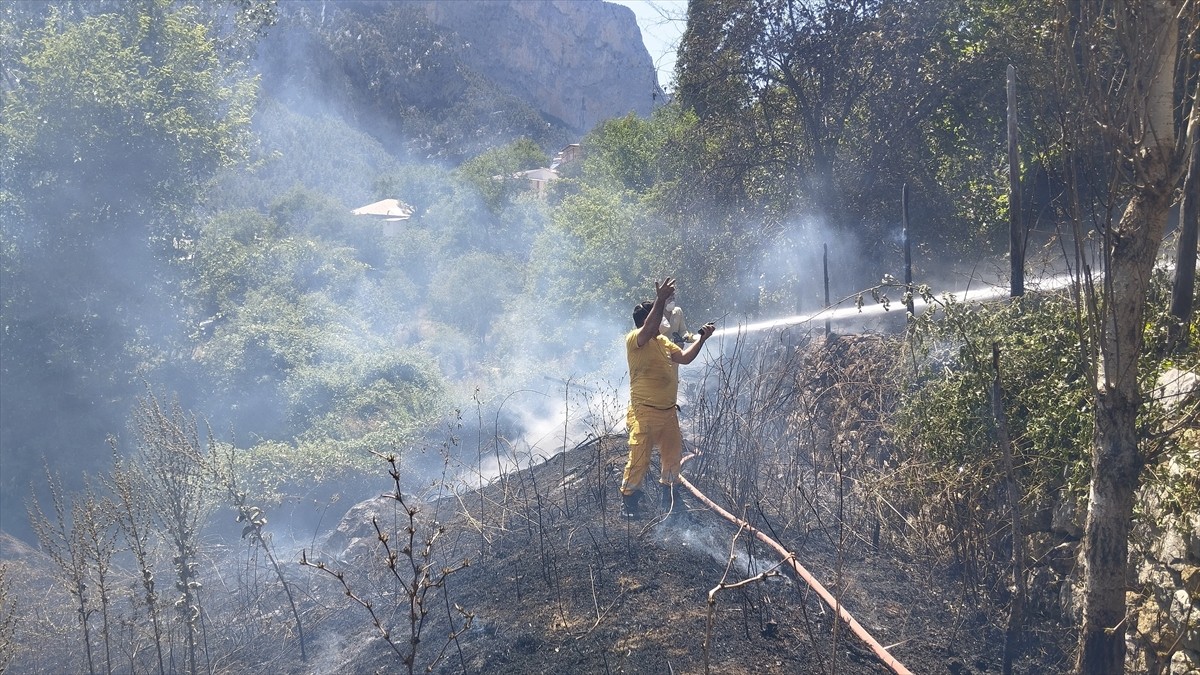 Adana'nın Saimbeyli ilçesinde çalılık alanda çıkan yangın, evlere ve ormana sıçramadan kontrol...