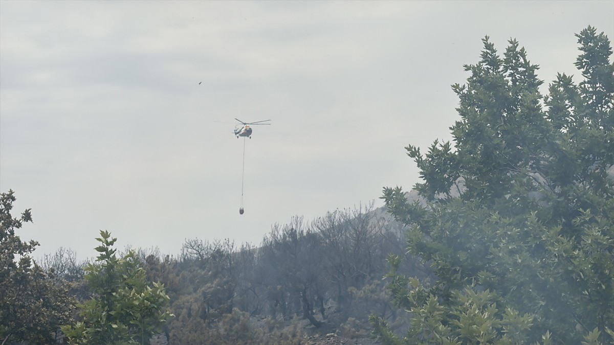 Adıyaman'da yaklaşık 200 dönümlük alanda etkili olan orman yangını kontrol altına alındı.