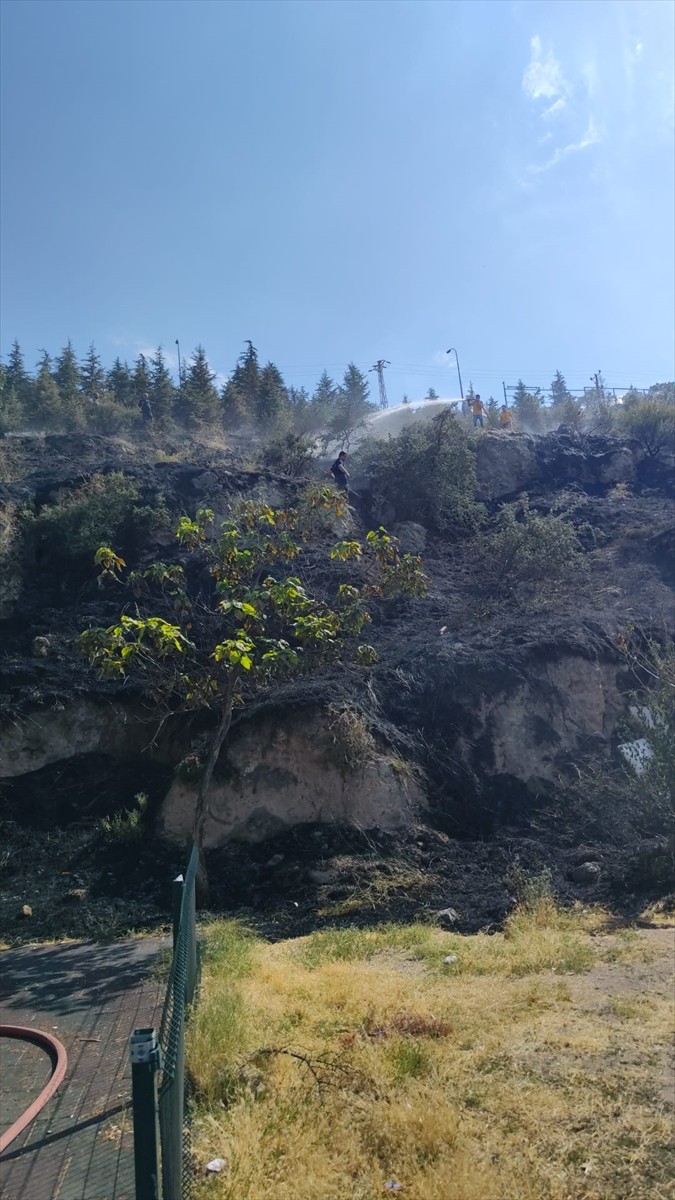 Afyonkarahisar'da ağaçlık alanda çıkan ot yangını söndürüldü.