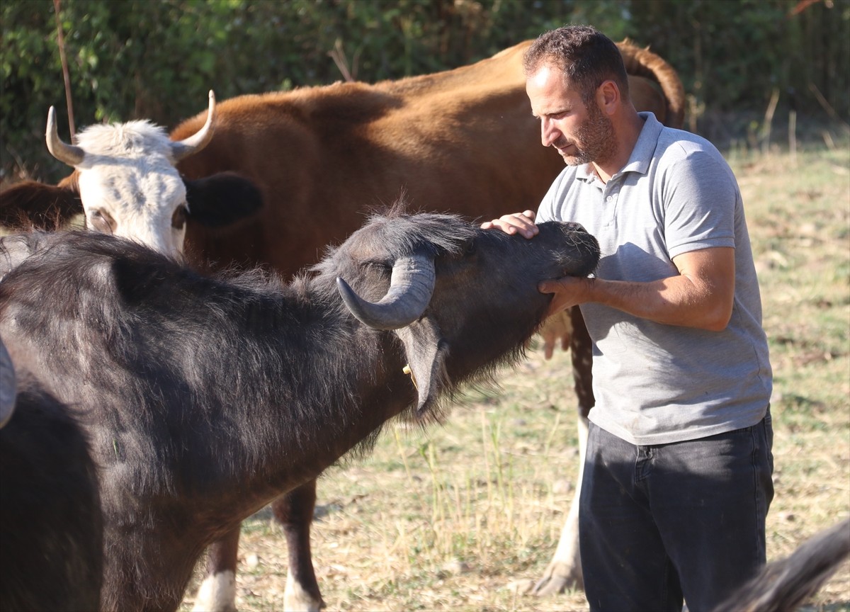 Amasya'nın Taşova ilçesinde yaşayan 41 yaşındaki Veysel ile 39 yaşındaki eşi Azize Özkan...