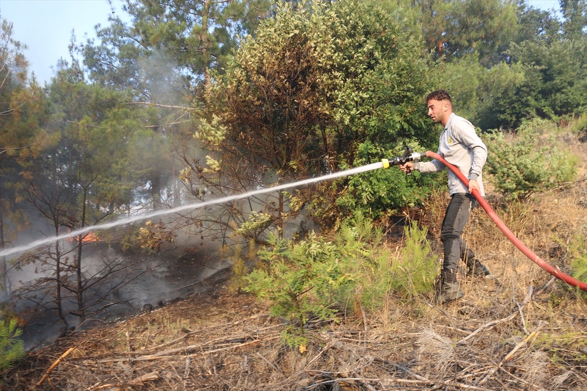 Amasya’nın Taşova ilçesinde çıkan orman yangını söndürüldü.