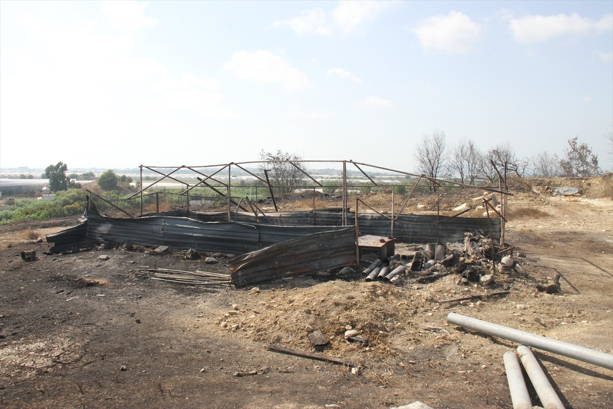 Antalya'da otluk alanda çıkan ve evlerinin yanındaki depo olarak da kullandıkları ağıla sıçrayan...