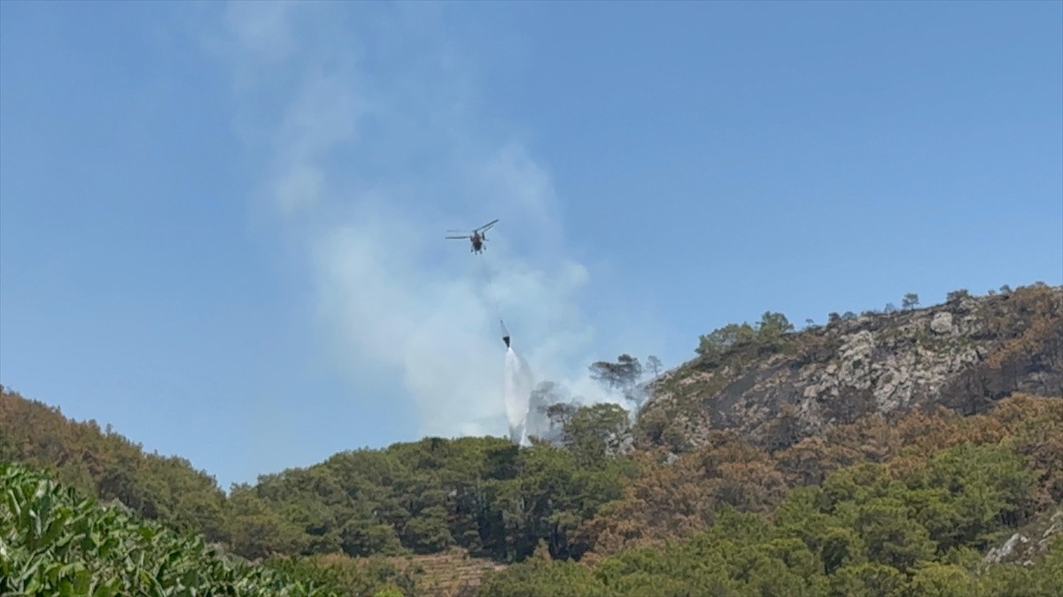 Antalya'nın Gazipaşa ilçesinde çıkan orman yangını söndürüldü.