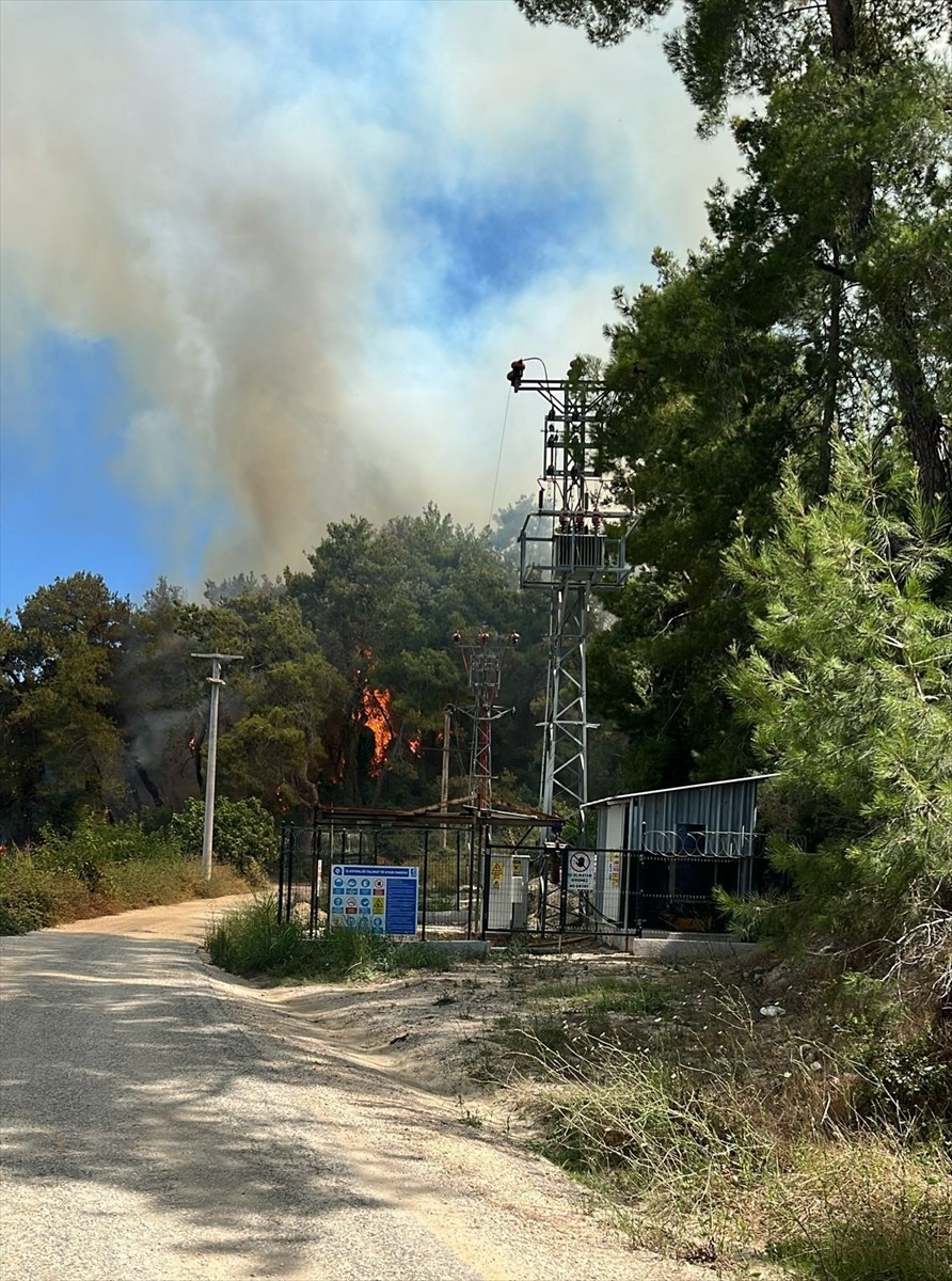 Antalya'nın Manavgat ilçesinde çıkan orman yangınına müdahale ediliyor.