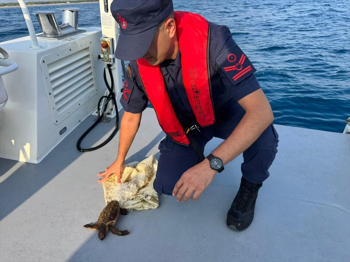 Antalya'nın Manavgat ilçesinde, çuvala ayağı dolanan yeşil deniz kaplumbağası kurtarıldı.