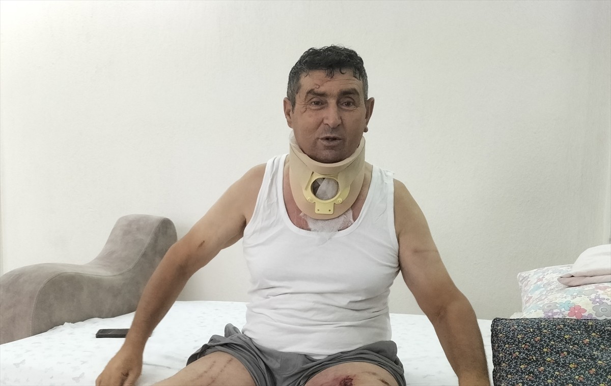 Antalya'nın Manavgat ilçesinde hayvan parkından kaçan aslanın saldırması sonucu yaralanan Süleyman...