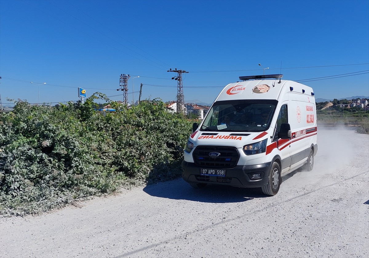 Antalya'nın Manavgat ilçesinde hayvan parkından kaçarak bir kişiyi yaralayan aslanı yakalamak için...