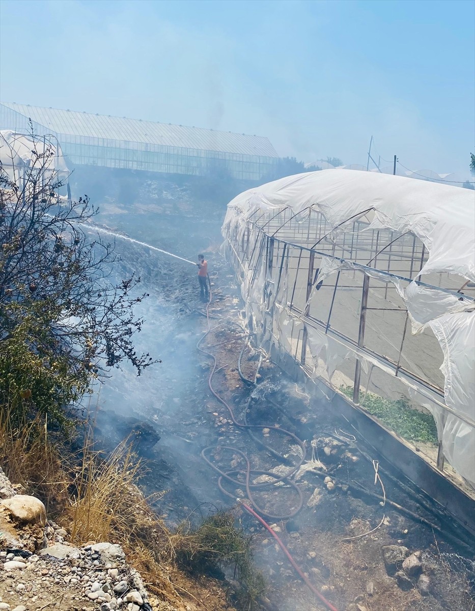 Antalya'nın Serik ilçesinde çalılık alanda çıkıp seralara sıçrayan yangın ekiplerin müdahalesiyle...