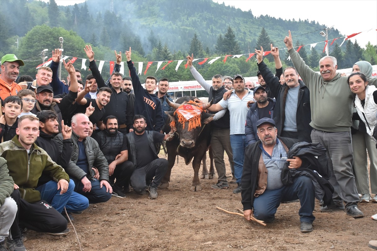 Artvin'de bu yıl 44'üncüsü düzenlenen "Kafkasör Kültür, Turizm ve Sanat Festivali" boğa...