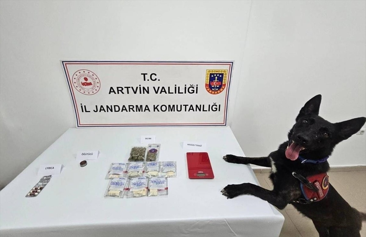 Artvin'in Arhavi ilçesinde düzenlenen uyuşturucu operasyonunda gözaltına alınan 2 şüpheli...