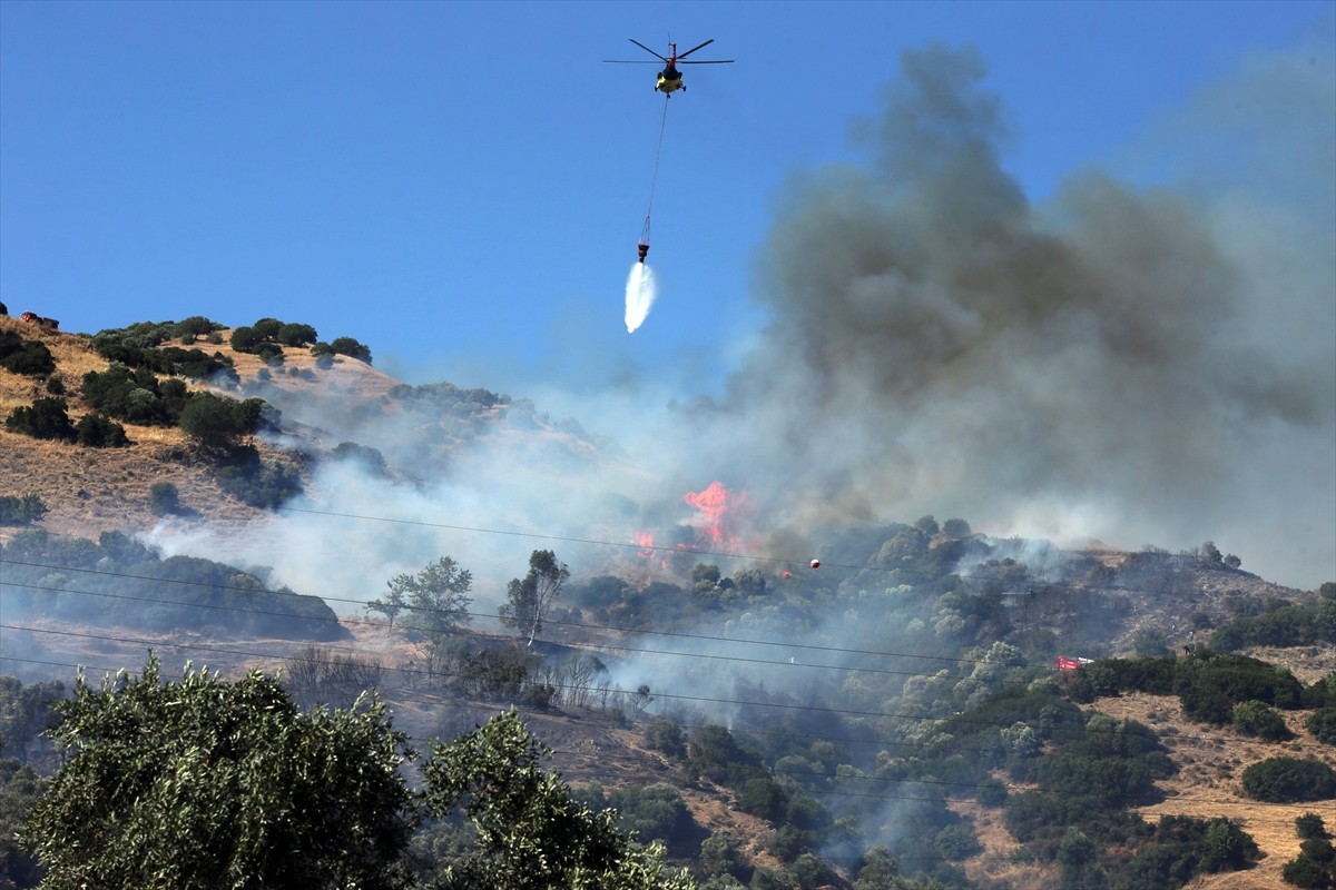 Aydın'ın Efeler ilçesinde zeytin ağaçlarının bulunduğu alanda çıkan yangına havadan ve karadan...