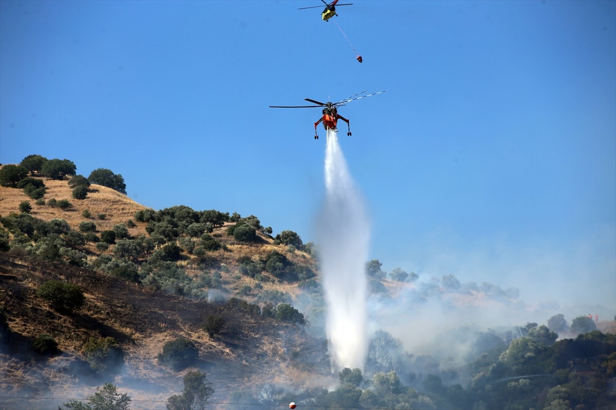Aydın'ın Efeler ilçesinde zeytinlik alanda çıkan yangın, havadan ve karadan müdahaleyle kontrol...