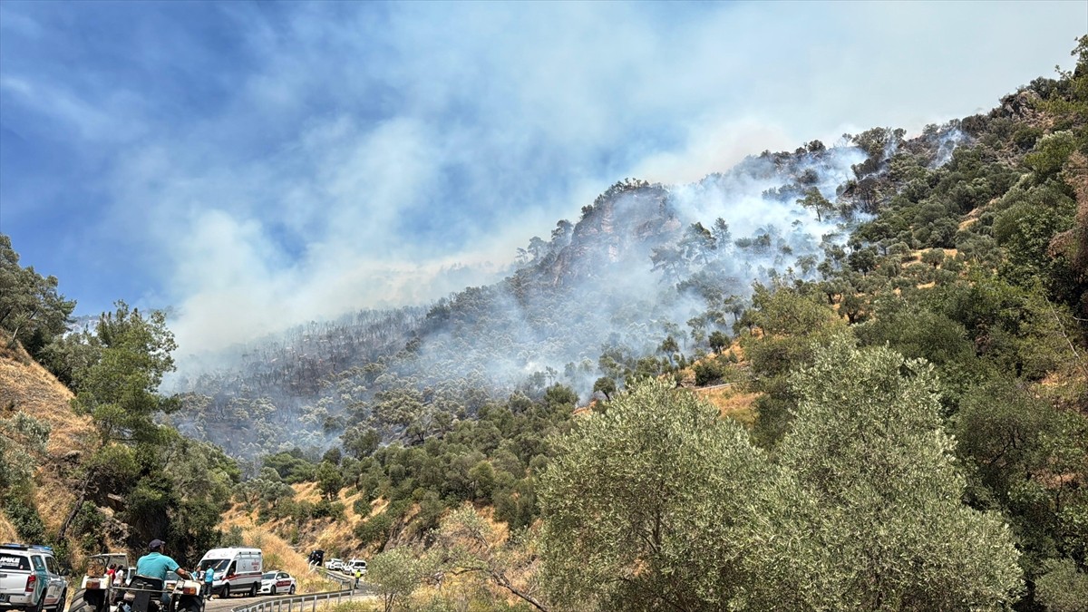 Aydın'ın Efeler ilçesinde ziraat alanında başlayıp ormanlık alana sıçrayan yangına havadan ve...