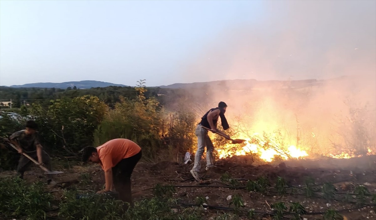 Balıkesir'in Savaştepe ilçesinde, tavuk çiftliğinde başlayıp ormanlık alana sıçrayan yangına...