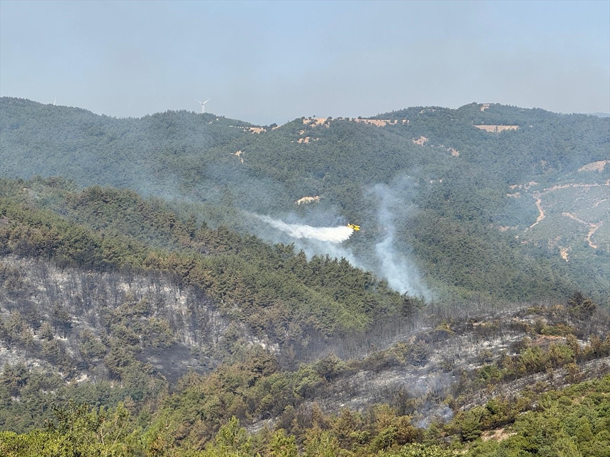 Balıkesir'in Savaştepe ve Altıeylül ilçeleri sınırında çıkan orman yangınının kontrol altına...