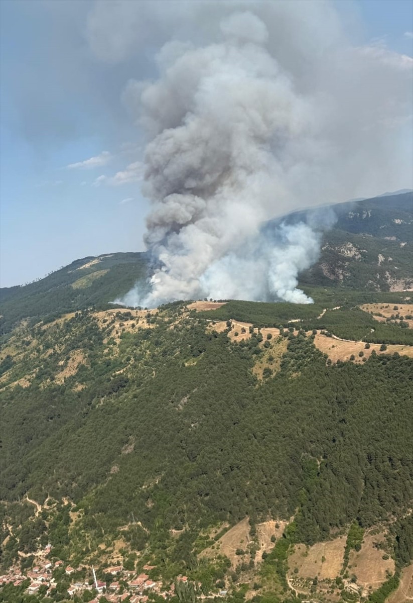 Balıkesir'in Sındırgı ilçesinde, çıkan orman yangını kontrol altına alınmaya...