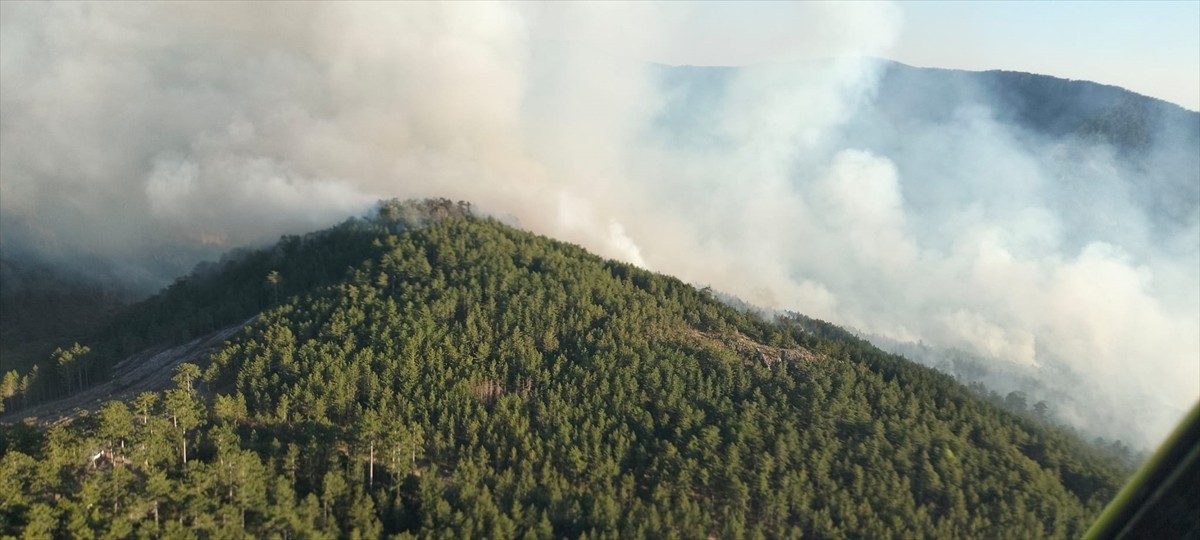Balıkesir'in Sındırgı ilçesinde, çıkan orman yangını kontrol altına alınmaya...