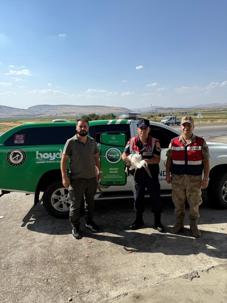 Batman'ın Kozluk ilçesinde yaralı bulunan leyleğin tedavisine başlandı. Leylek yapılan ilk...