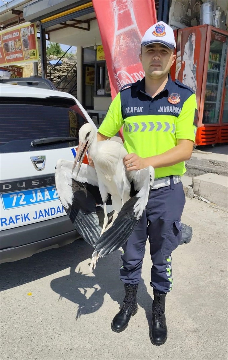 Batman'ın Kozluk ilçesinde yaralı bulunan leyleğin tedavisine başlandı. Leylek yapılan ilk...