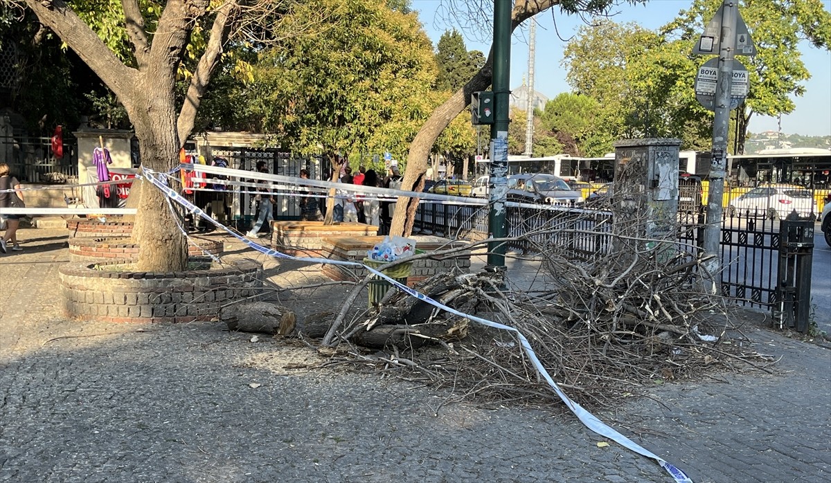Beşiktaş'ta yolda yürüdükleri sırada üzerlerine ağaç dalı düşen 3 kişi yaralandı. 