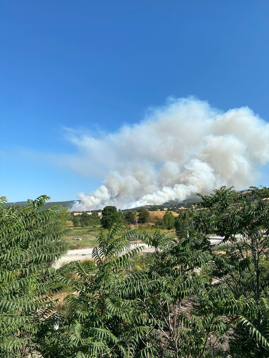 Bilecik'in Pazaryeri ilçesinde anızda başlayıp ormana sıçrayan yangına havadan ve karadan müdahale...
