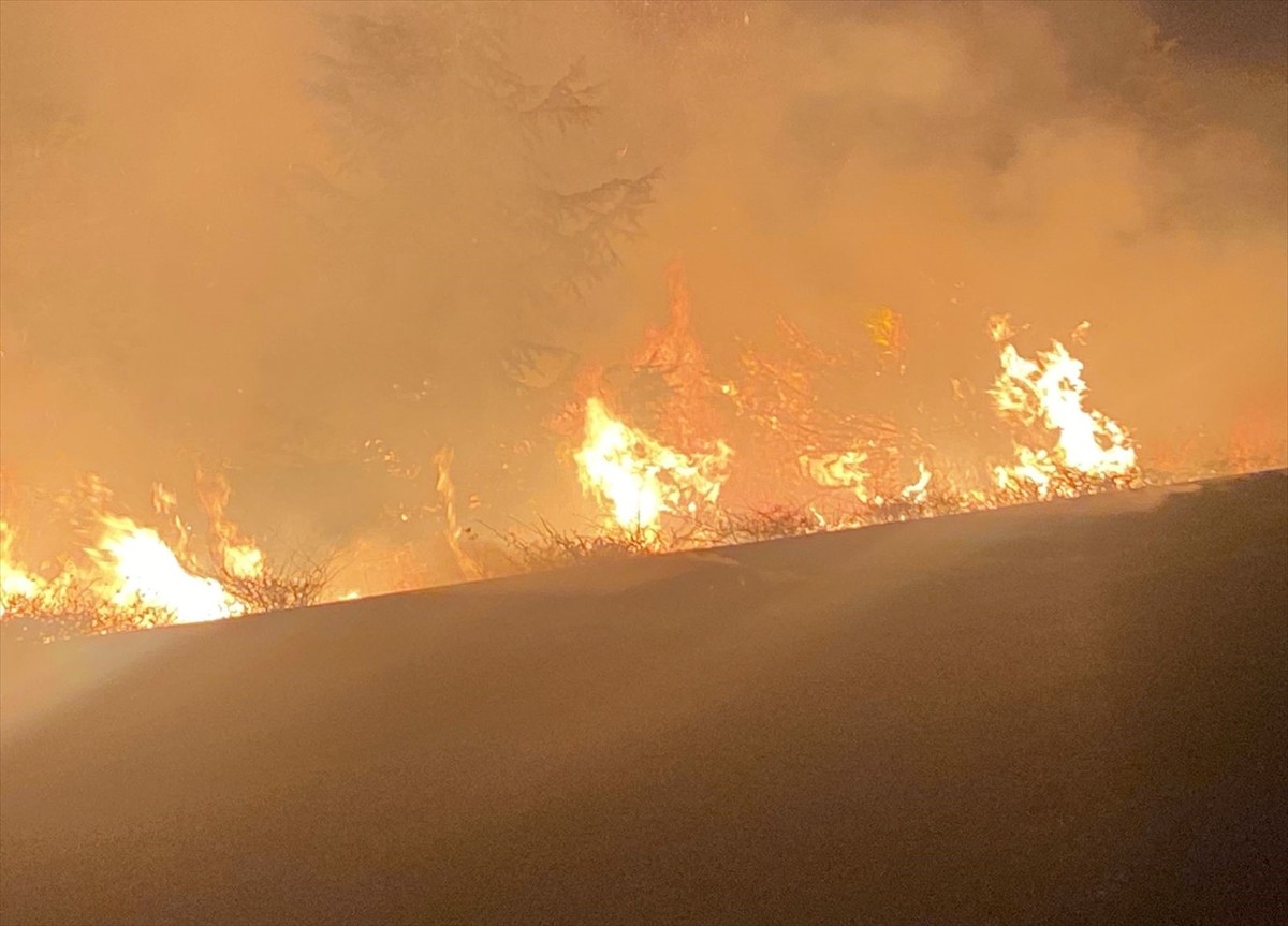Bilecik'in Söğüt ilçesinde, seyir halindeki traktöre bağlı saman yüklü römorkta çıkan yangın...
