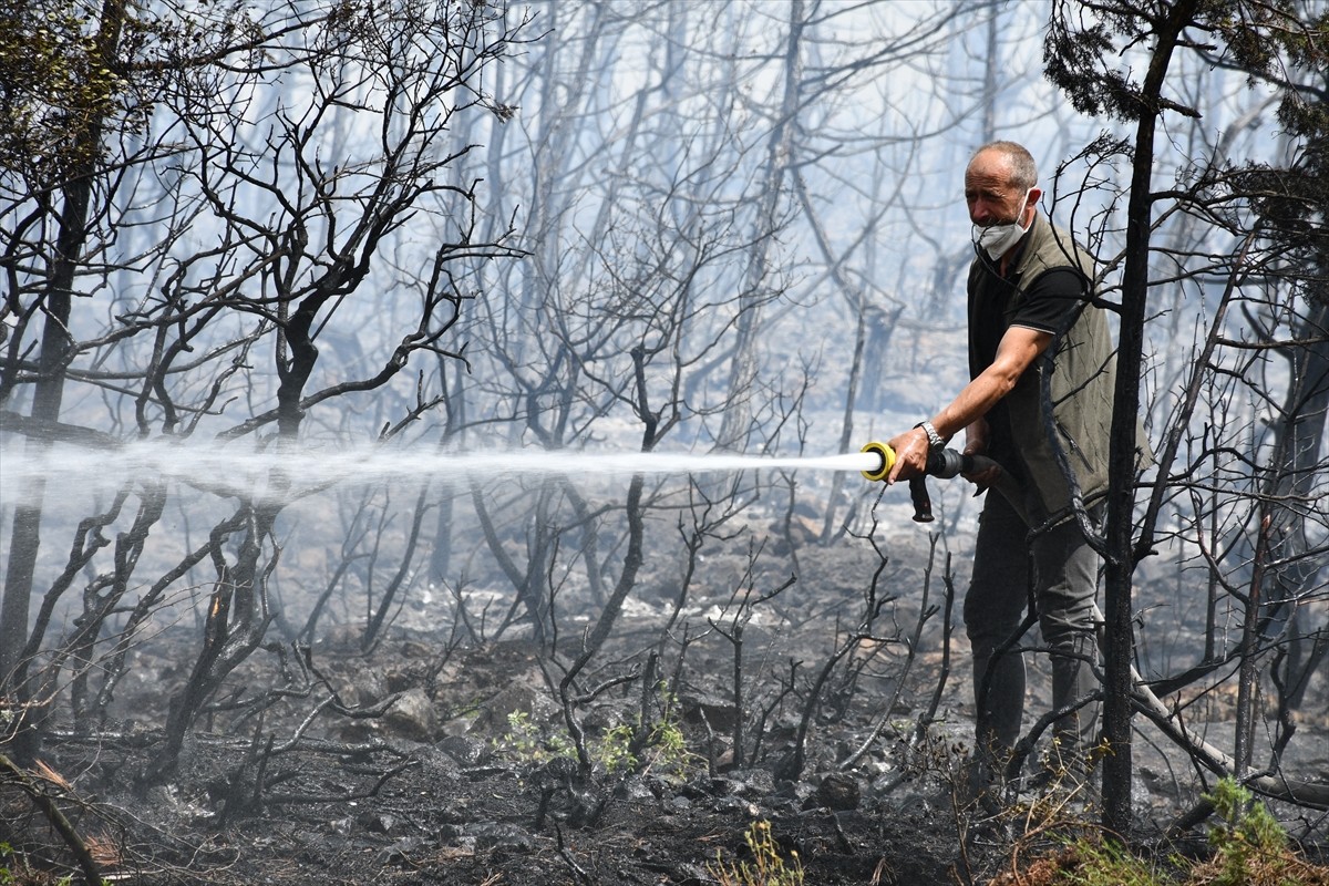 Bilecik'te çıkan orman yangını, havadan ve karadan müdahaleyle kontrol altına alınmaya...