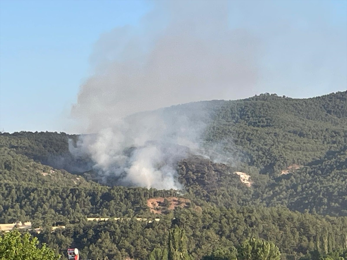Bolu'nun Göynük ilçesinde çıkan orman yangınını söndürme çalışmaları başlatıldı. Ekiplerin...