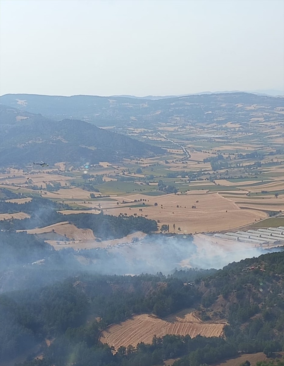 Bolu'nun Göynük ilçesinde iki ayrı ormanlık alanda çıkan yangınlar, havadan ve karadan müdahaleyle...