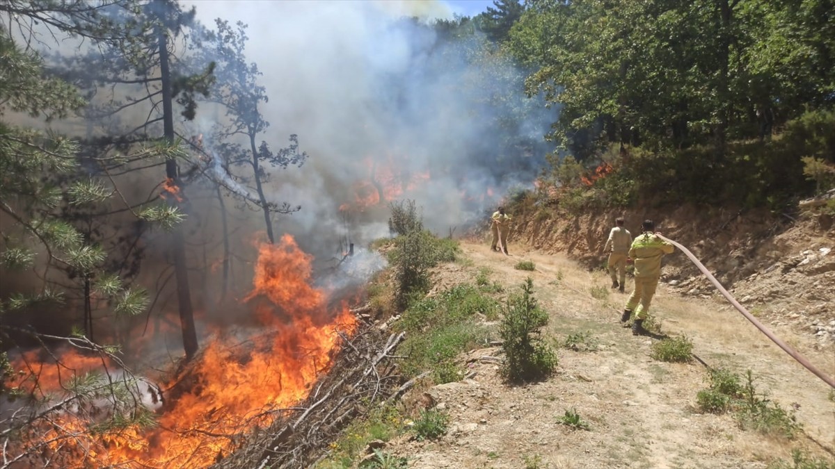Bursa'nın İnegöl ilçesindeki ormanlık alanda çıkan yangına havadan ve karadan müdahale...
