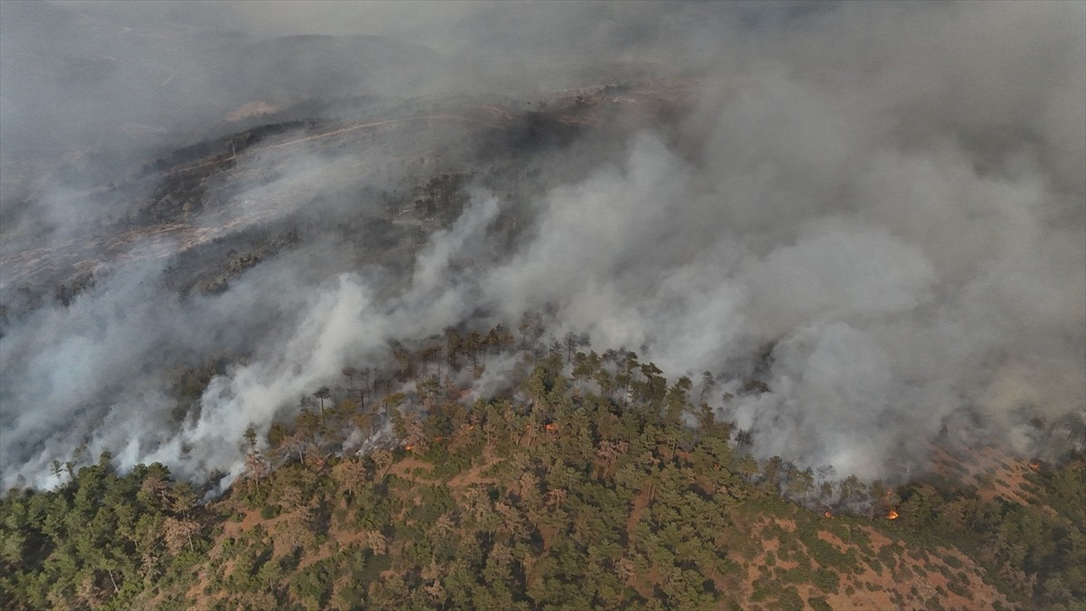 Bursa'nın Orhaneli ilçesinde dün çıkan ve bugün sabah saatlerinde büyük oranda kontrol altına...