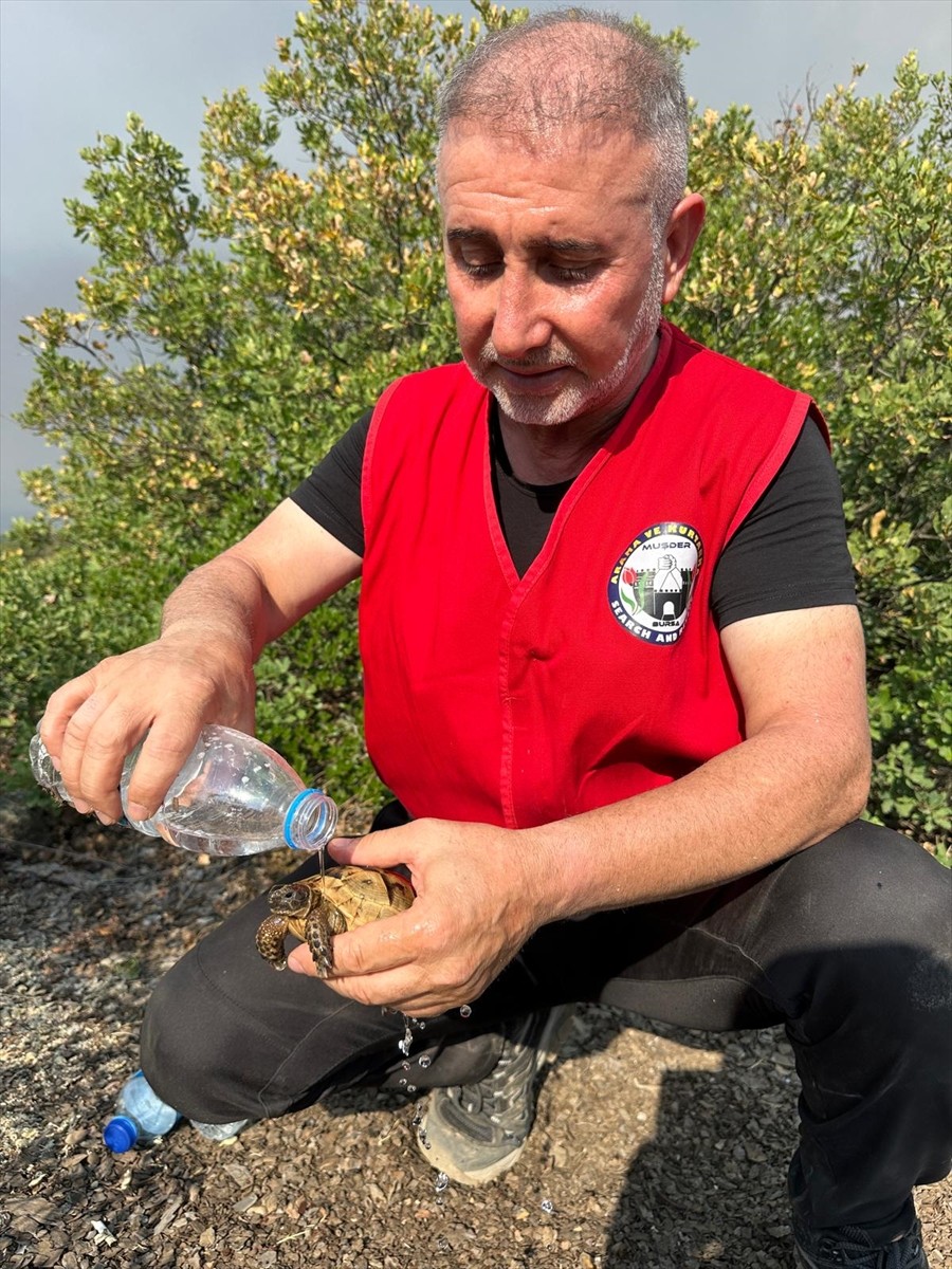 Bursa'nın Orhaneli ve Harmancık ilçeleri arasındaki orman yangını 5. gününde kontrol altına...