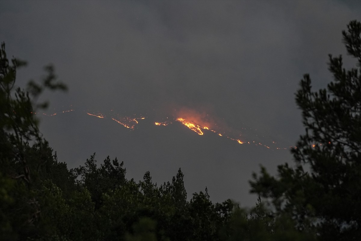 Bursa-Balıkesir sınırında çıkan orman yangınına havadan ve karadan müdahale ediliyor.