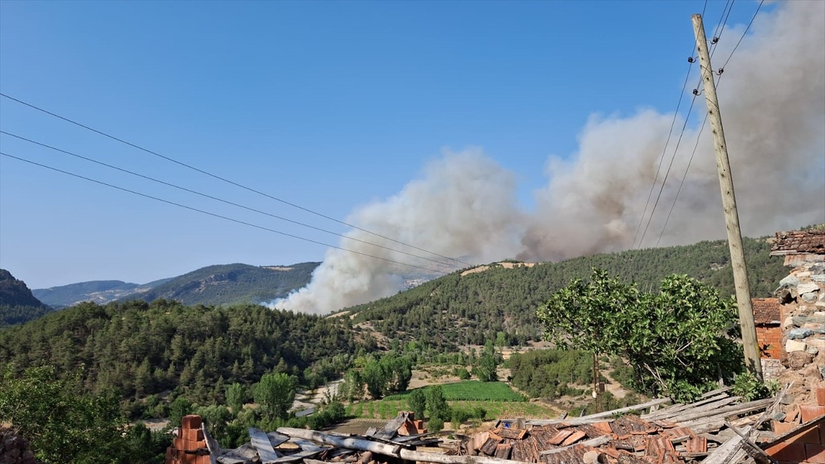 Bursa-Balıkesir sınırında çıkan orman yangınına müdahale ediliyor.