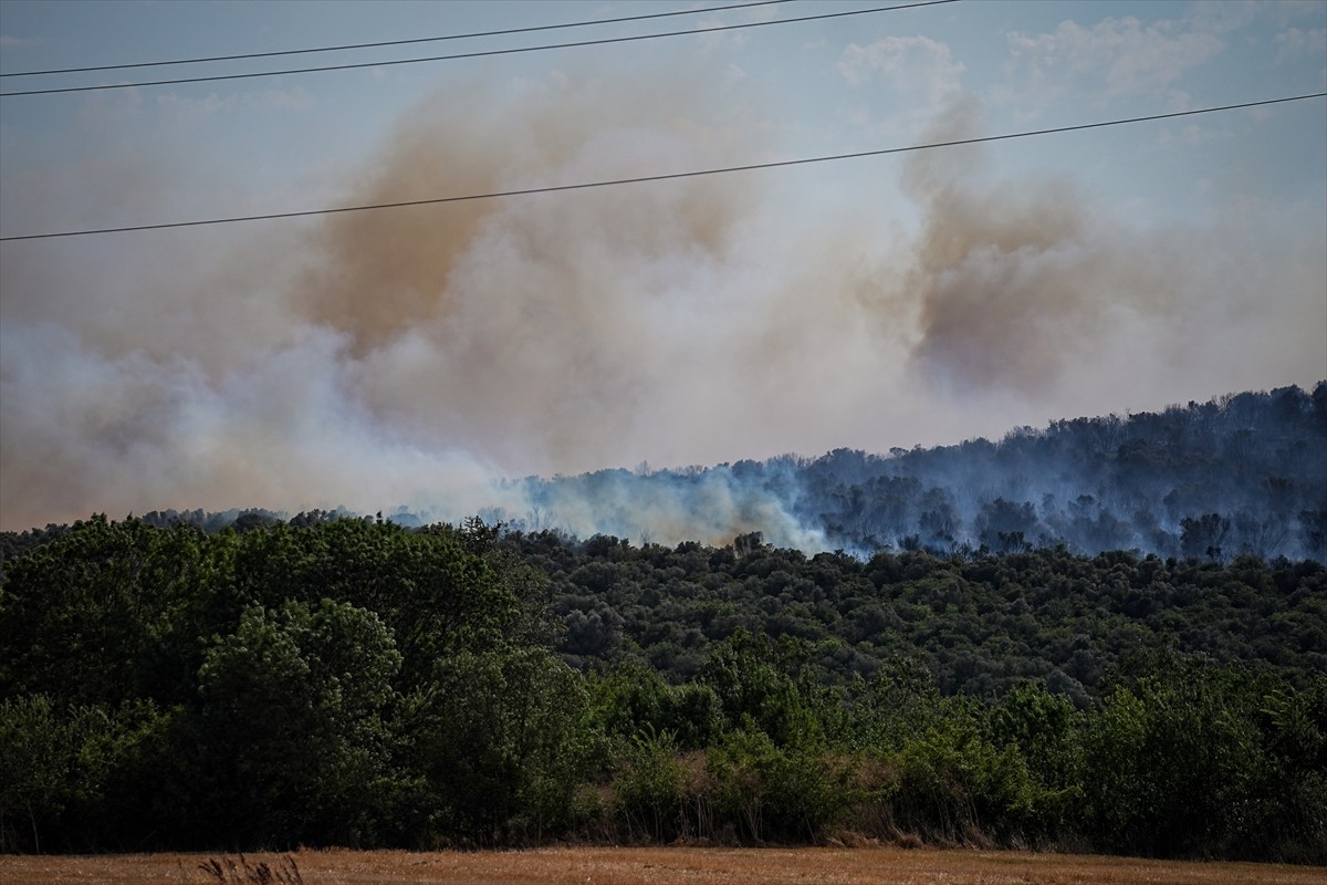 Bursa’nın Nilüfer ilçesinde çıkan orman yangınına müdahale ediliyor.