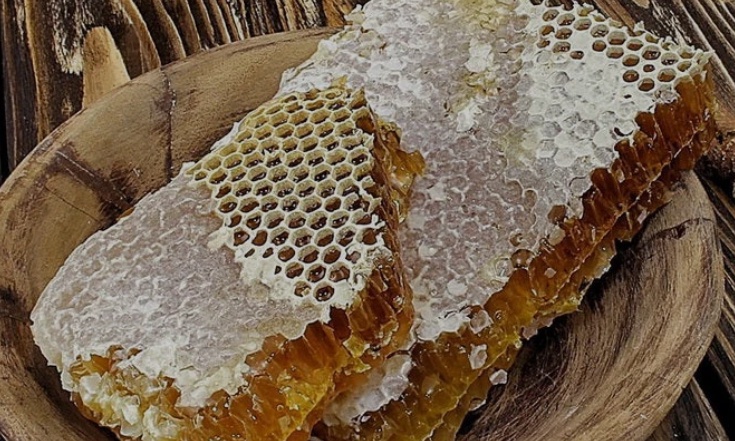 Büyük destek Balıkesir'den duyuruldu! Tüm ülkeye yayılacak