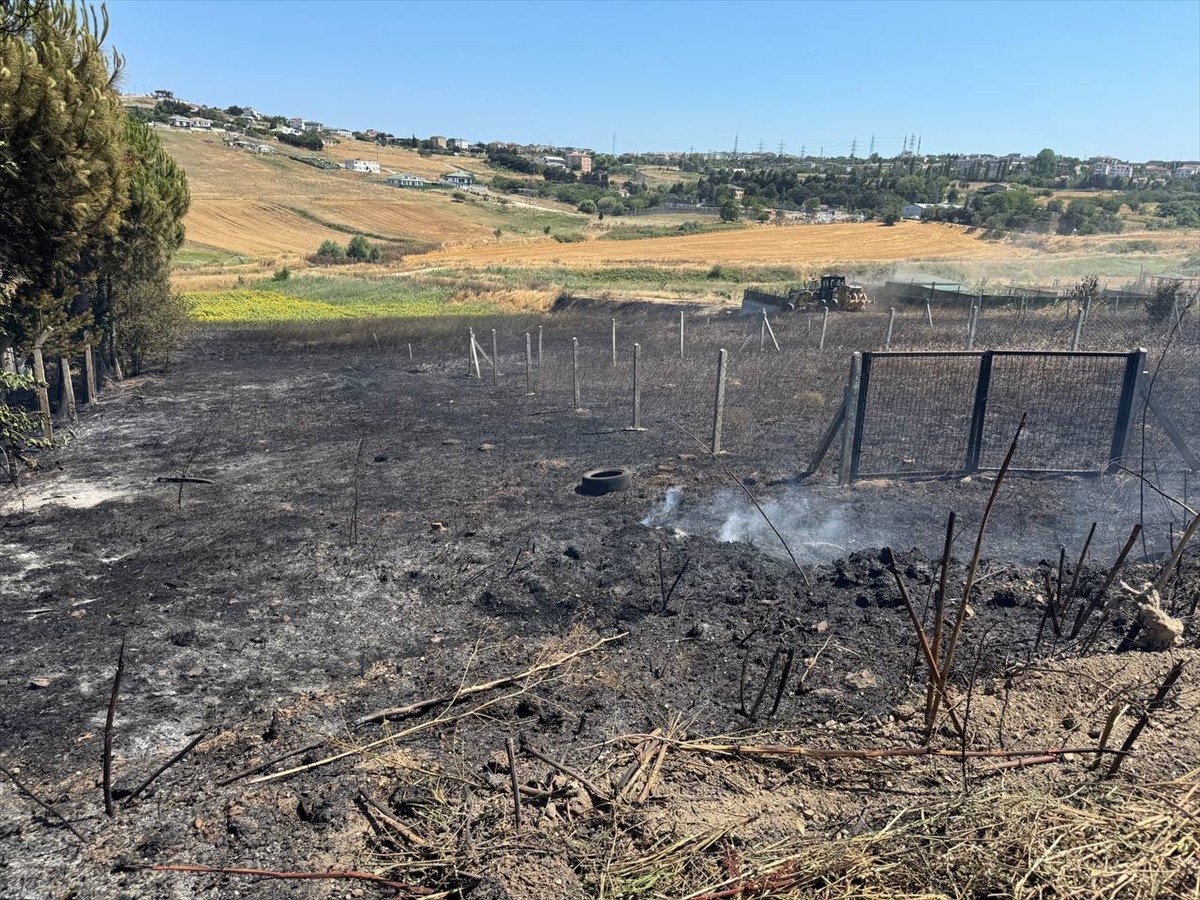 Büyükçekmece'de otluk ve ekili alanda çıkan yangın itfaiye ekiplerinin müdahalesiyle...