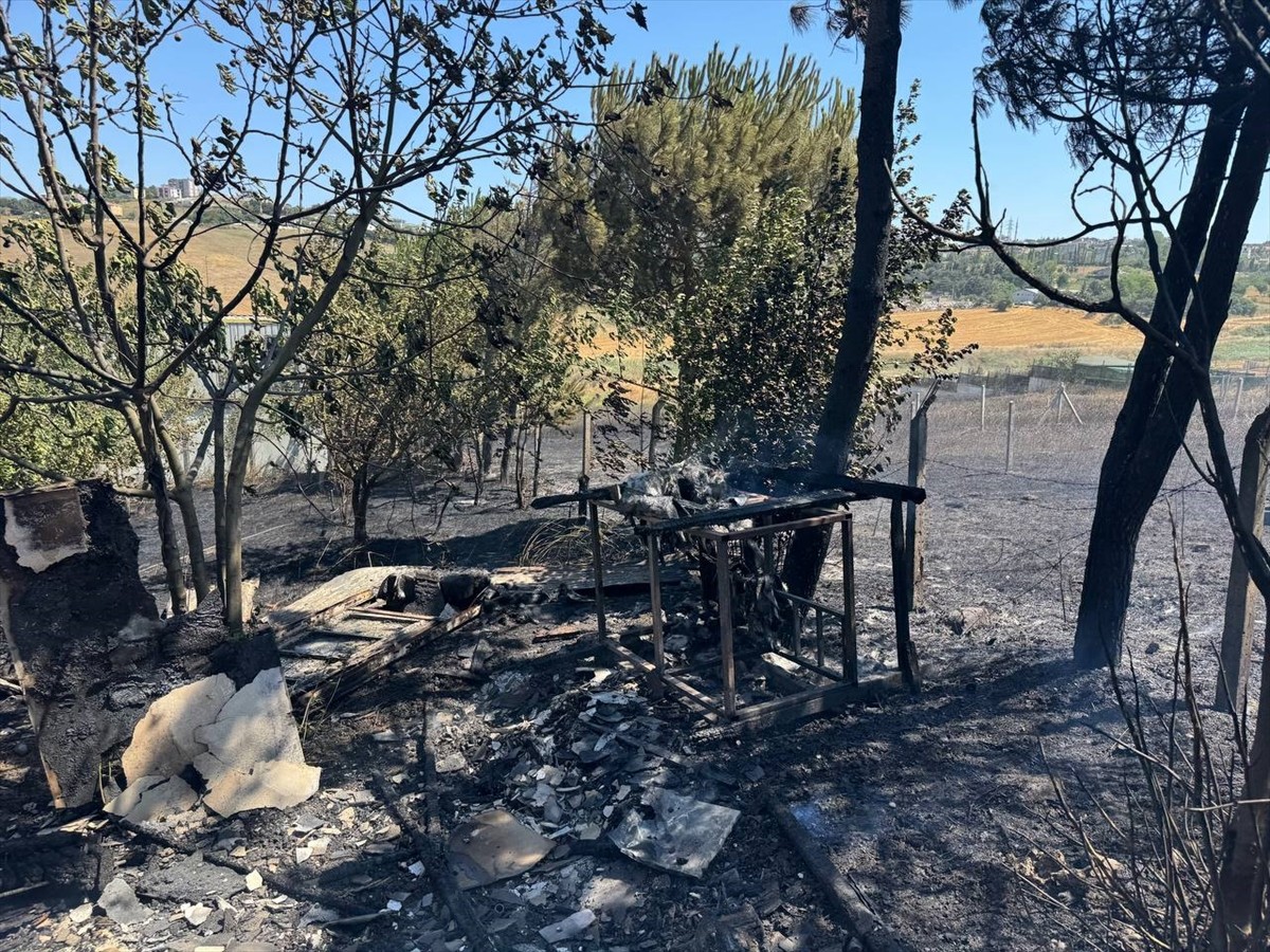 Büyükçekmece'de otluk ve ekili alanda çıkan yangın itfaiye ekiplerinin müdahalesiyle...