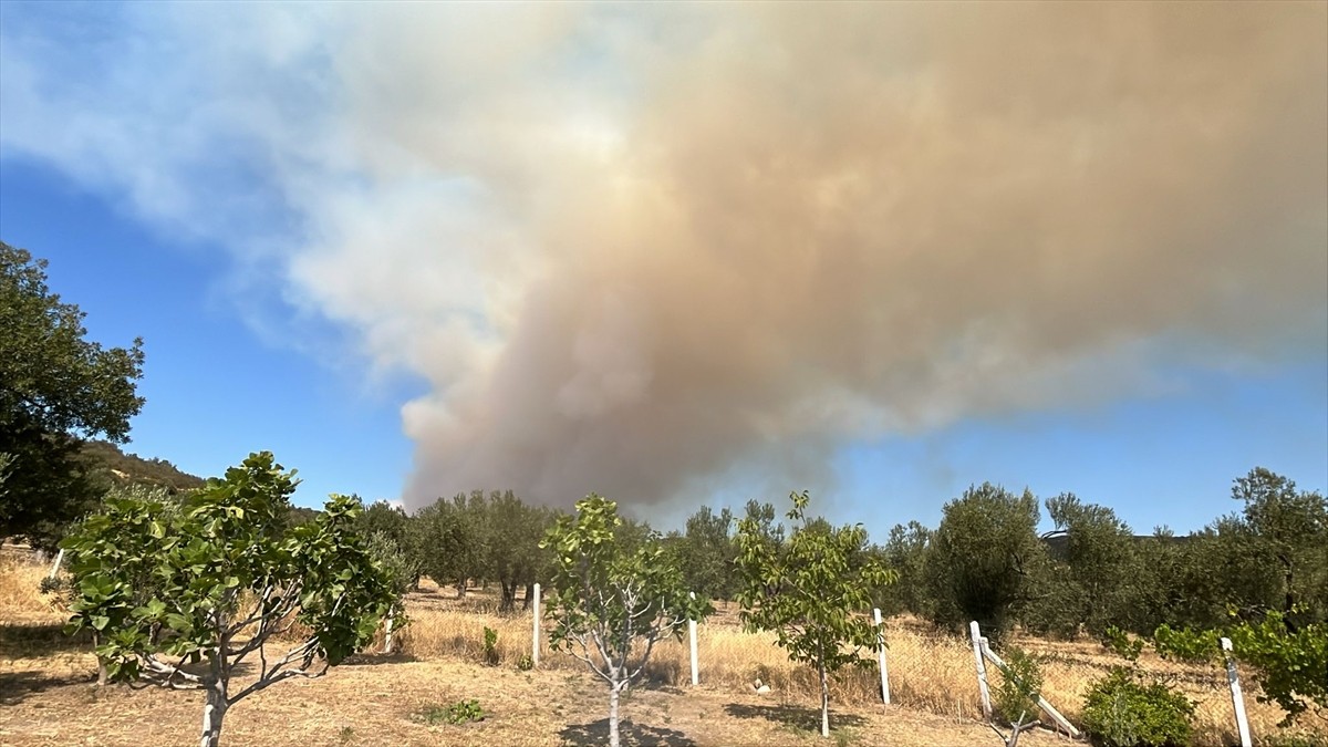  Çanakkale'nin Ayvacık ilçesinde çıkan orman yangınına havadan ve karadan müdahale ediliyor.