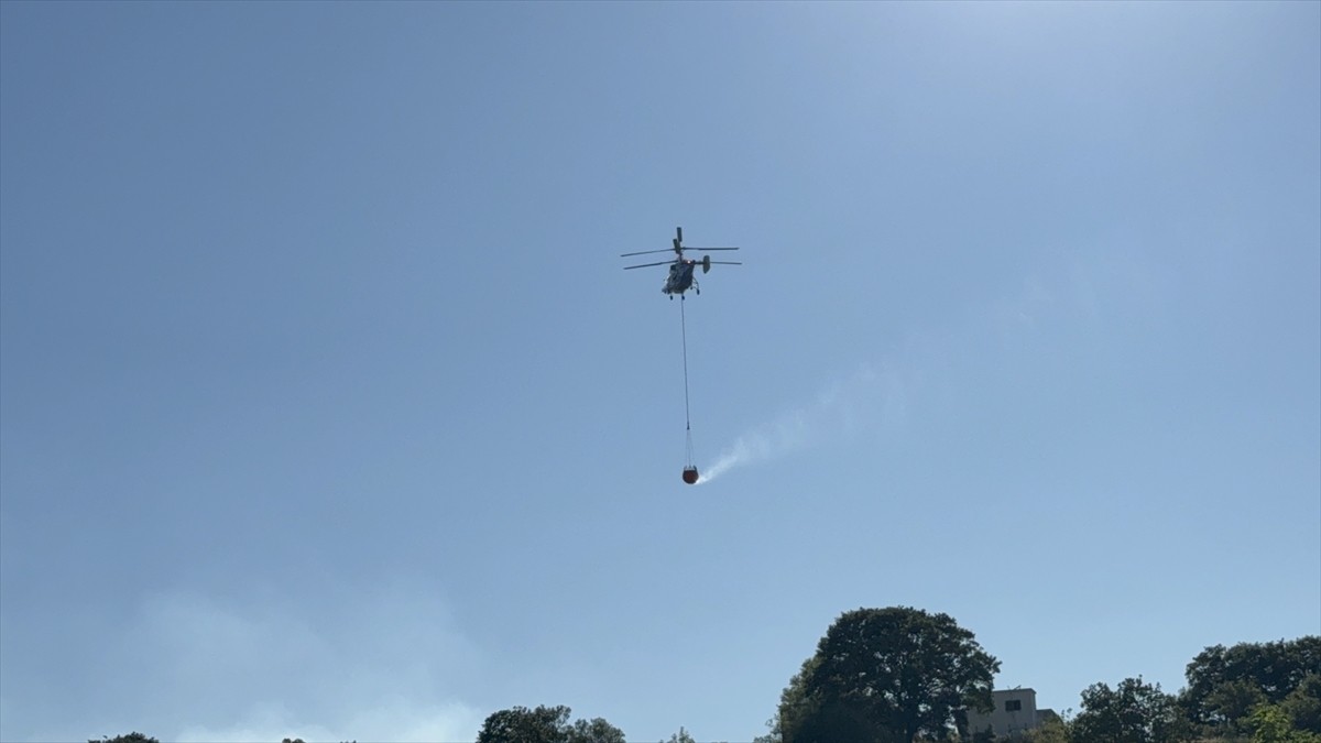 Çanakkale'nin Çan ilçesindeki tarım alanında çıkan yangına, havadan ve karadan müdahale...