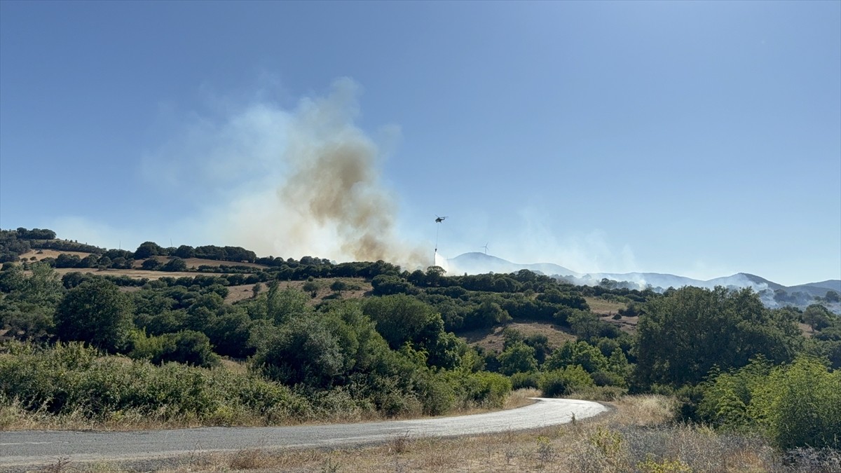 Çanakkale'nin Çan ilçesindeki tarım alanında çıkan yangına, havadan ve karadan müdahale...