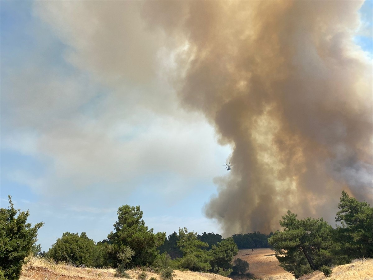 Çanakkale'nin Ezine ilçesinde çıkan orman yangınına havadan ve karadan müdahale ediliyor.