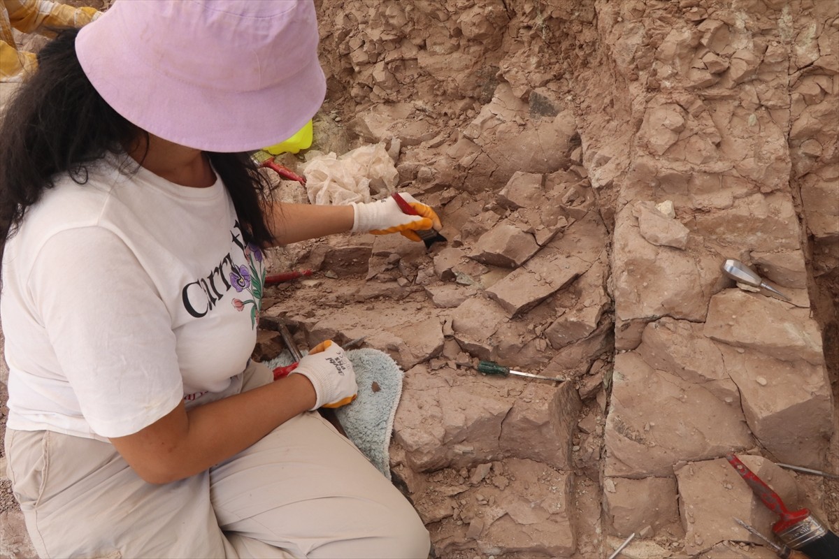 Çankırı'da önceki yıllarda gergedan, kılıç dişli kaplan, zürafa, yaban atları, sırtlan, gelincik...