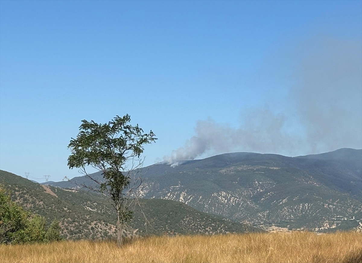 Çankırı'nın Ilgaz ilçesindeki ormanlık alanda çıkan yangına ekipler müdahale ediyor. 