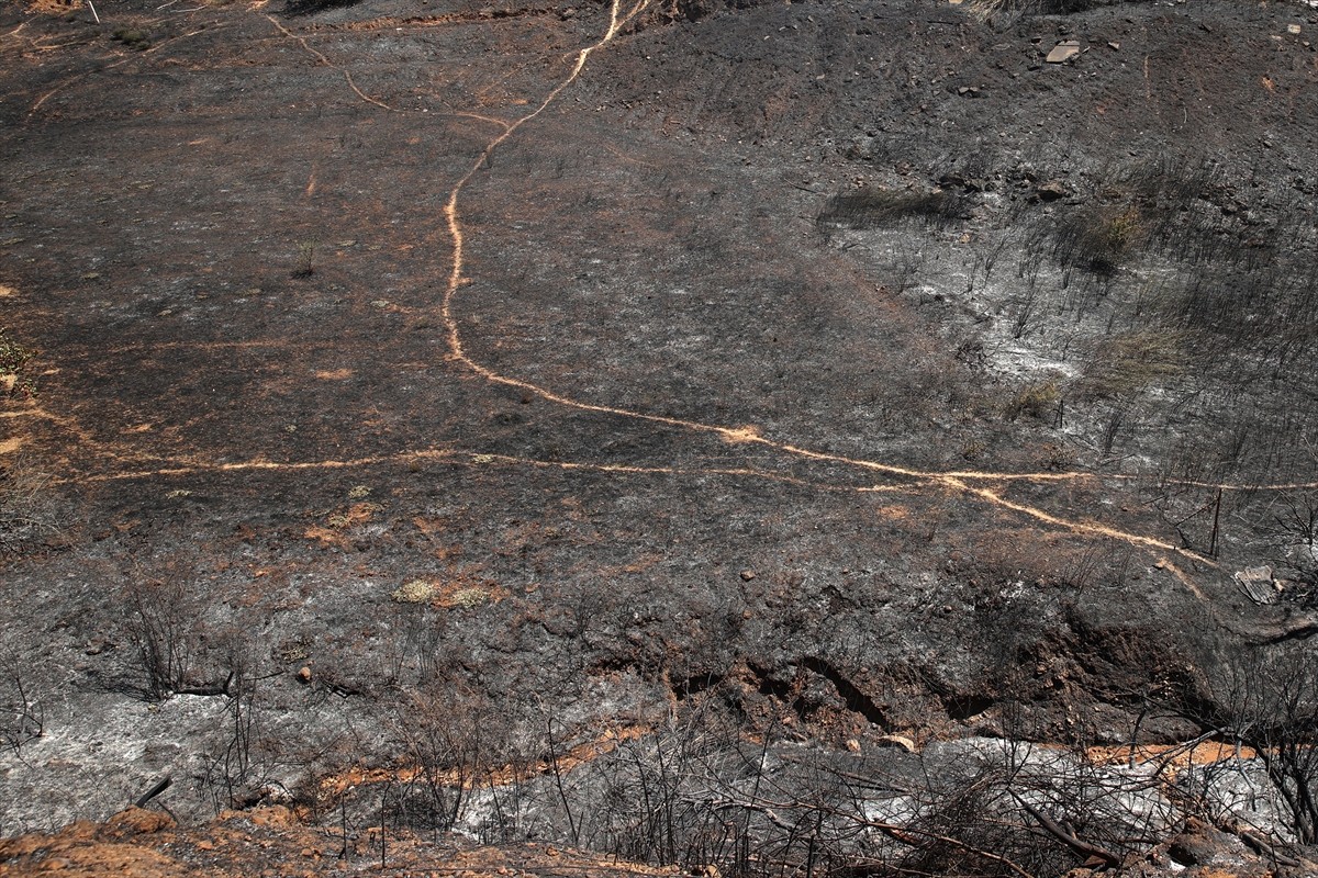 Çöl sıcaklarının etkisi altında olan Yunanistan’ın başkenti Atina’nın da bulunduğu Attiki...