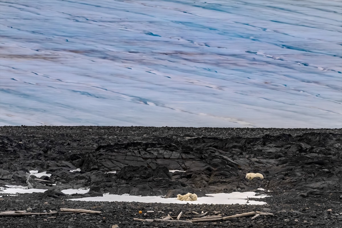 Cumhurbaşkanlığı himayesinde, Sanayi ve Teknoloji Bakanlığı uhdesinde, TÜBİTAK MAM Kutup...